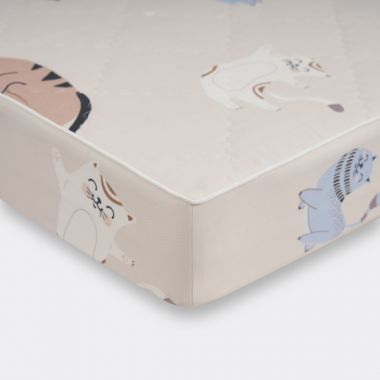 Bộ Everon CPM25202