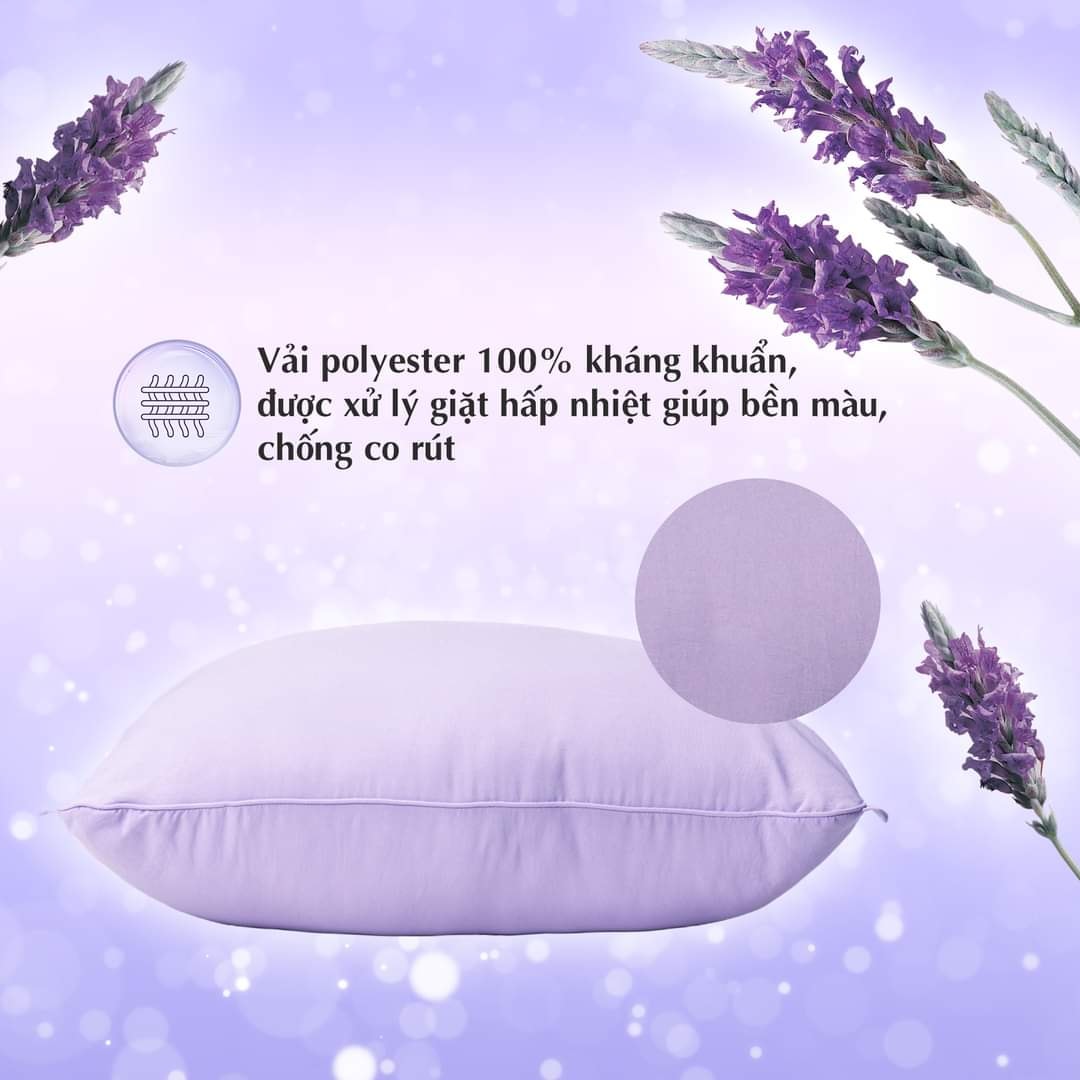 Ruột gối Lavender